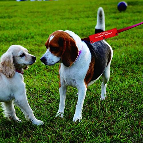 שרוול רצועת כלבים מצחיק באימונים אנא אל תתקרב לרצועת כלב רצועה עטיפת עטיפת התראה תג זהות תלייה.