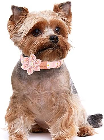 צווארון כלב חיות מחמד של Babole עם עניבת פרחי חיננית ורודה, צווארון כלבי כותנה עם אבזם מתכת בטיחותית צווארוני גור מתכווננים