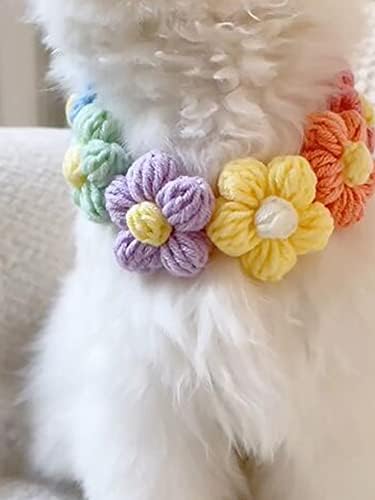 Qwinee חמוד פרחים עיצוב שרשרת כלבים חתול חתלתול צווארון צבע אקראי לכלבים בינוניים קטנים גור רב -צבעוני m