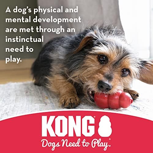 קונג - עצם טובה עם חבל-עצם לעיסת גומי עמידה, צעצוע לכלבים לניקוי שיניים-לכלבים קטנים