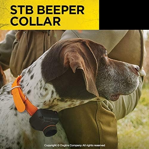 Dogtra stb Beeper Collar Beeper גרסת ציד צווארון כלב לכלב אקדח חיצוני חיצוני