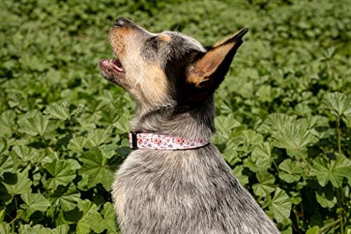 צווארוני כלבים לכלבים בינוניים וגדולים קטנים - דפוסי מעצבים על צווארונים לאורך זמן, מתכווננים, חזקים ועמידים לכלבים