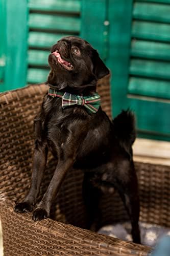צווארון כלבים טרטני טראטני סקוטי ורצועת רצועה עם עניבת פרפר ניתנת לניתוח לכלבי ילדה או ילד דפוס משובץ נוח, מתכווננת