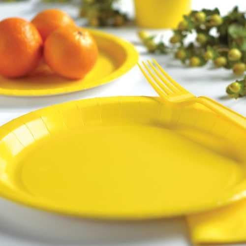 המרה יצירתית מגע של צבע 24 צלחות ארוחת נייר, טורקיז