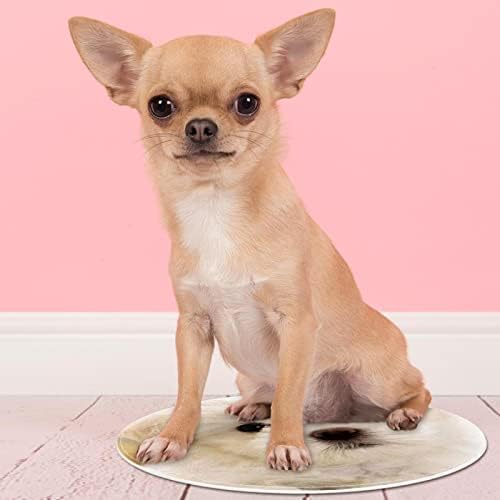 שטיחים שטחיים קטנים לחיית מחמד ברגל כלב, חיית מחמד לכלב לבן חמוד, מקשטים שטיח שטיח שטיח שטיח שטיח 15.7x15.7 אינץ '