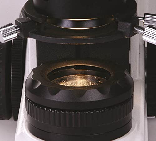 מוטיק 1100100401297, תואר ראשון 310 סדרת משקפת מתקדם זקוף מתחם מיקרוסקופ