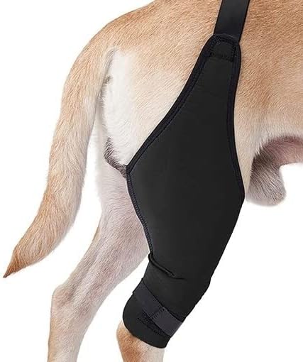 סד רגל כלב/רגל אחורית סד כלב/סד ברך לכלבים/תמיכה בפציעות ACL/ניתוק כובע ברך/דלקת פרקים/יציבות/תמיכה נוספת/מפחית