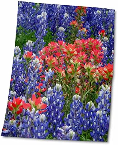 3DROSE - DANITA DELIMONT - פרחים - פרחי הבר של טקסס היל. Bluebonnets ומברשת צבע הודית - מגבות