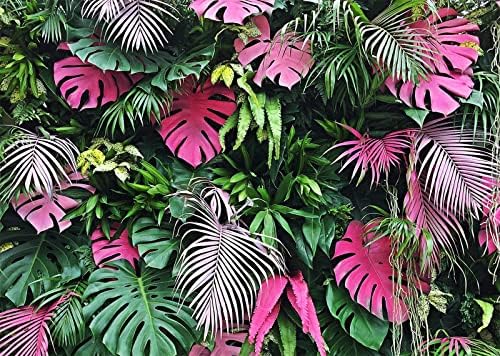 Corfoto 9x6ft עלי דקל טרופי רקע טבעי צמחים צבעוניים צילום רקע רקע קיץ הוואי לואו באנר ג'ונגל ג'ונגל תפאורת