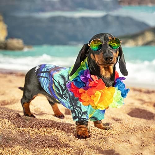 בגדי קיץ כלבים חולצה הוואי כלב עם משקפי שמש וחולצות גורים של זר צבעוני לכלבים קטנים לילדה ילדה חיות מחמד תלבושות בגדים לחתולים