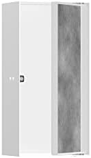 Hansgrohe xtrastoris גומחת קיר שקועה עם דלת לניתוק 12 x 6 x 4 בלבן מט, 56082700