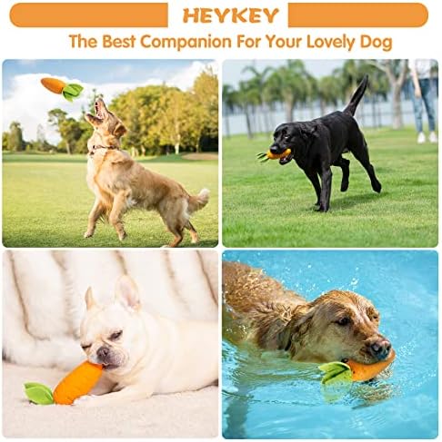 Heykey Duaky Dog Chew צעצועים לעיסות אגרסיביות, צעצועי כלבים בלתי ניתנים להריסה לעיסות אגרסיביות, צעצועי כלבים חריקים