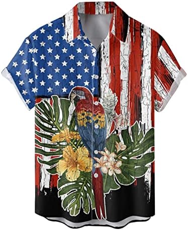 חולצות טריקו לקיץ לגברים זכר אביב וקיץ עצמאות חגיגה
