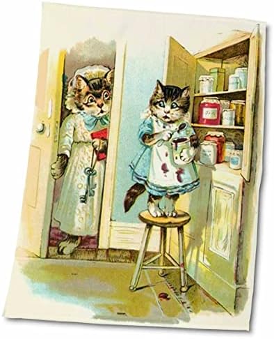 3drose הומור פלורן - רישום חתול וינטג 'הומוריסטי - מגבות
