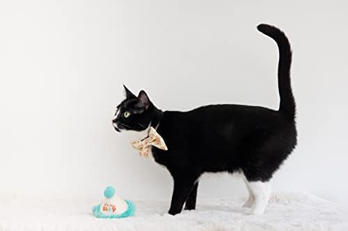 סט כובע חתול ועניבת פרפר, סט של 2 בגדי חתול יום הולדת, תלבושת חתול יום הולדת שמח, בעל חיית מחמד מתנת יום הולדת,