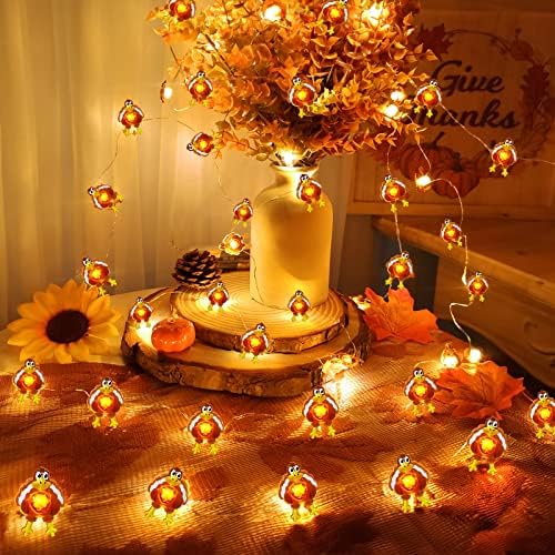 Turnmeon 10 ft 30 LED חג ההודיה אורות טורקיה קישוטי סוללה מופעלת חוט נחושת פיות מיתרים אורות סתיו אורות חג ההודיה קישוט