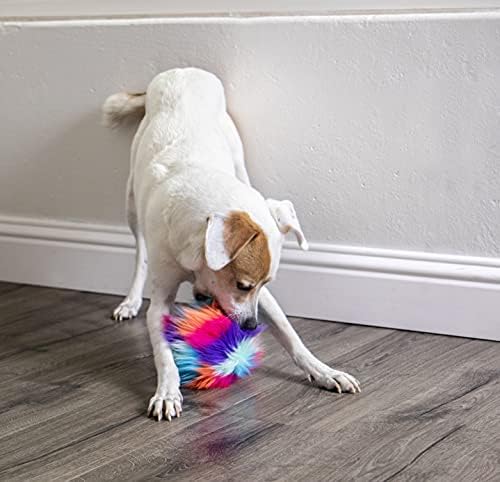 Godog Furballz Squaky Ball Ball צעצוע כלב, טכנולוגיית משמר הלעיסה - קשת מגניבה, קטנה