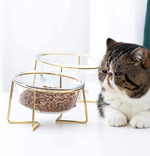 קערת חתול קרמיקה של ipetboom מזין מזין מזין זכוכית קערת חתול מורמת, קערת חתול כלב זכוכית 1 pc עם קערת מזכוכית