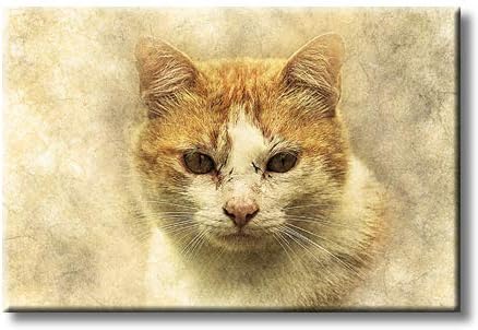 עין ירוקה חתול חמוד תמונה מודרנית על בד מתוח, עיצוב אמנות קיר, מוכן לתלייה