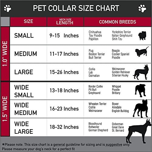 צווארון כלבי אבזם חגורת בטיחות אבזם - עצי דקל/טבעות ירקות/שחורים - 1.5 רוחב - מתאים לצוואר 13-18 - קטן