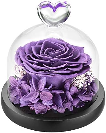 Duhouse Forever Roses שמרו על פרחים אמיתיים נצח קסום קופסת פרחים קופסת פרחים לוולנטיינס יום הולדת יום הולדת