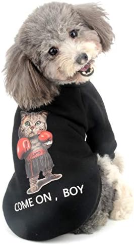 רנפי סוודר סוודר סוודר כלבים קטן.