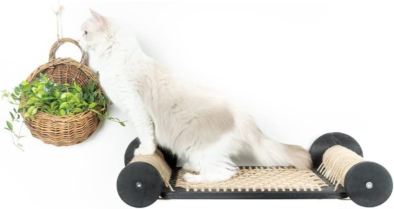 צף חתול ערסל עץ מיטת סיסל חבל גרדן גרוד משחקים טופר מחדד חתלתול צעצוע קיר ריהוט