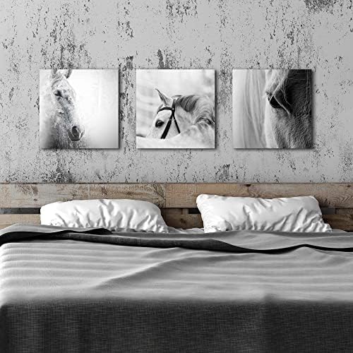 אמנות קיר קיר קיר קיר בסוס חדר שינה: 3 יצירות שחור לבן חווה חווה תמונות חווה מודרניות ציורי דיוקן דיוקן אפור מערבי סוסים יצירות