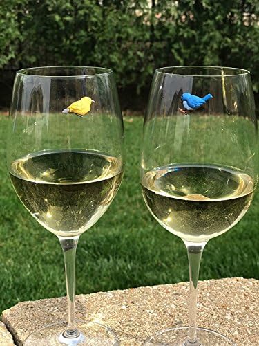 פשוט מקסים ציפור יין זכוכית קסמי - מגנטי לשתות סמני כדי לזהות כל שלך כלי זכוכית-סט של 6 קוקטייל קסמי
