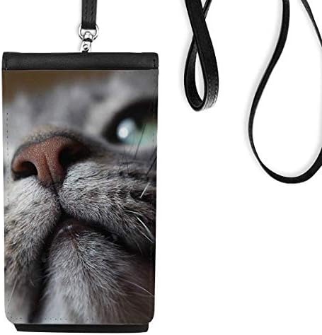 חיה מבטת למעלה צילום חתול ארנק ארנק תלייה כיס נייד כיס שחור