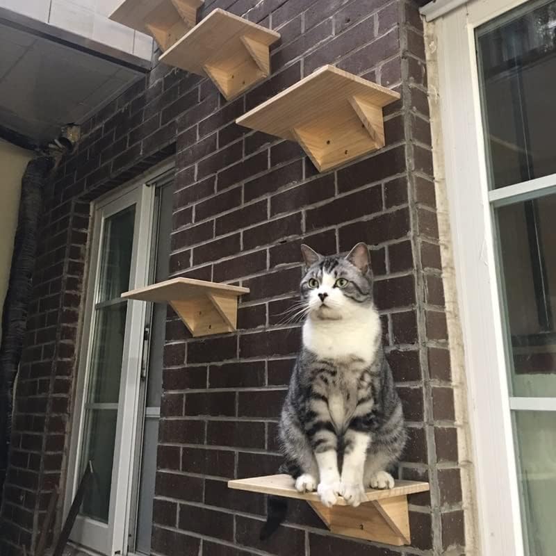 חתול עץ חתול טיפוס מסגרת סטרץ לוח עץ חתול קפיצות פלטפורמת עשה זאת בעצמך לחיות מחמד ריהוט חתלתול מקפצה קיר רכוב חתול צעצוע
