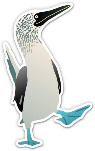 Blue Footed Booby Bird Galapagos - מדבקת ויניל 5 - למחשב נייד לרכב I - מדבקות אטומות למים