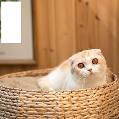 DNATS חתולים מטפסים על מסגרת חתולים חתולים מלטה חתולים עץ בית חתולים בקיץ מלטה חתולים קטנים ציוד חיית מחמד צעצוע