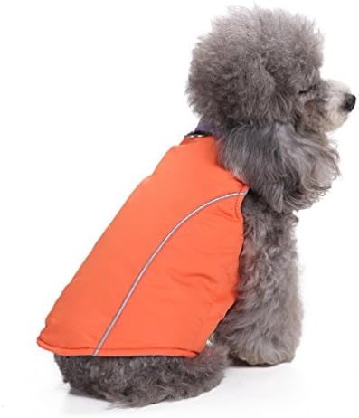 0044-כתום-ים כלב חורף מעיל מעיל צ ' יוואווה הלבשה, כתום, קטן