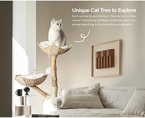 מגדל עץ חתול מודרני, מגדל חתול מעץ, עצי חתול כבדים לחתולים גדולים, עץ חתול אסתטי ייחודי בעבודת יד עם ענפי עץ אמיתיים,