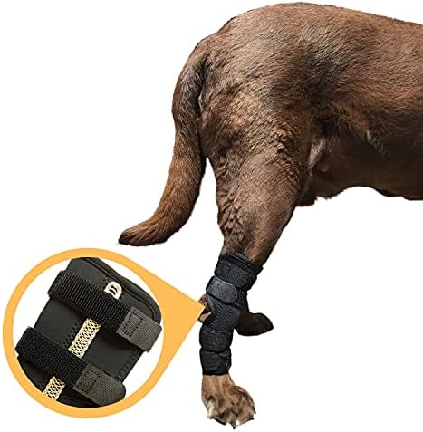 לברה תומך כלב אחורי רגל למשכן משותף לעטוף סד עם מתכת מעיינות מגן על כלבים פצעים כמו הם לרפא דחיסת סד מרפא