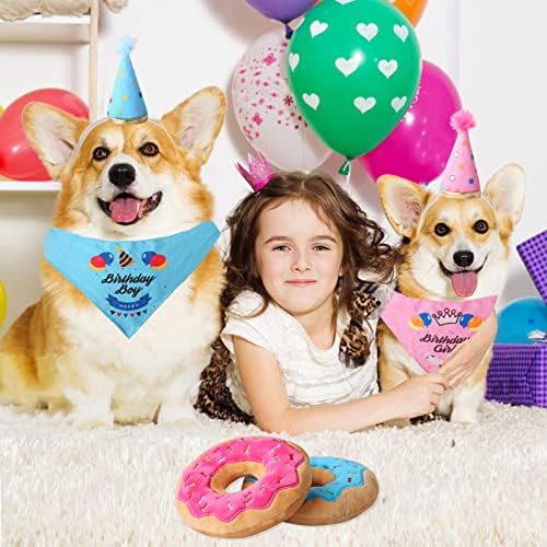 D King Dog מתנות ליום הולדת, כלב יום הולדת ראשון בנדנה, כובע יום הולדת כלב חריק, צעצוע גורים חמוד לכלבים בינוניים