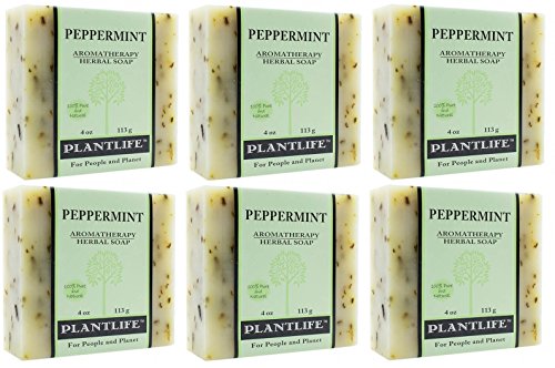 מנטה פלנטלייף סבון בר בעל 6 חבילות-סבון לחות ומרגיע לעור שלך-מעוצב בעבודת יד באמצעות מרכיבים צמחיים-תוצרת קליפורניה