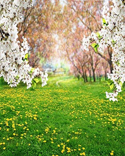 תמונה 8 * 8 רגל אביב נוף תמונות רקע כפרי גן פרק צהוב שן הארי אחו פרחי פריחת רקע לצילום פרחים מתוק פרחוני דשא ילד