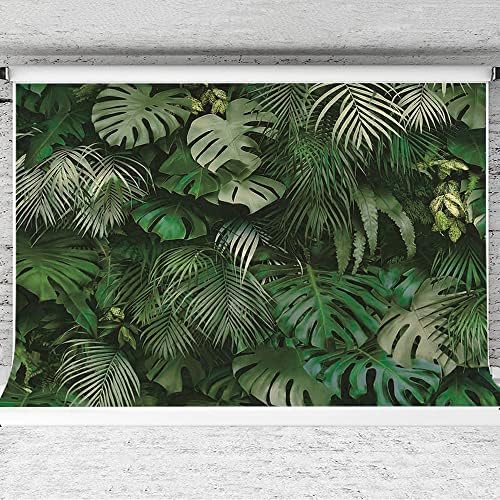 10 על 8 רגל ירוק דקל טרופי עלים תמונה רקע צילום ג ' ונגל ספארי צמחים תמונה רקע עבור הוואי ואאו המפלגה דקור באנר