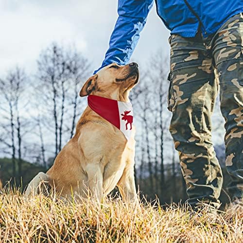 קנדה דגל איילים כלב בנדנה בנדנה חיית מחמד צעיף משולש משולש אביזרים מודפסים