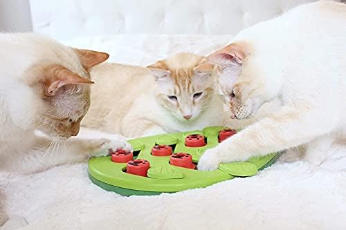 חידות חתולים אינטראקטיביות של OALLK, יצירתיות מאכילות איטיות מטפלות בפיזור צעצועים להקל על חתולים שעמום