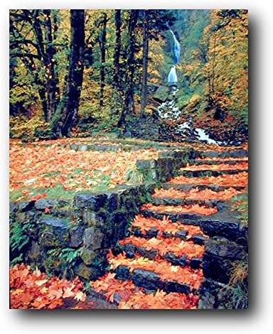 מפל ונפל סתיו עלים על צעדים נוף טבע תמונה קיר תפאורה אמנות הדפסת פוסטר