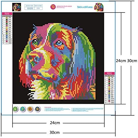 נקודות יהלום כלבים למבוגרים מרווח מלא מקדחה ערכות אמנות יהלומים בערכות המועדון המועדון 5D ציור יהלום למתחילים DIY 3D GEM