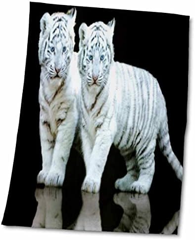 3drose בעלי חיים פלורן - גורי נמר לבנים - מגבות