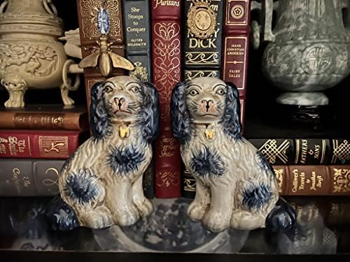 רבייה של Staffordshire המלך צ'ארלס ספניאל זוג כלבים כחולים