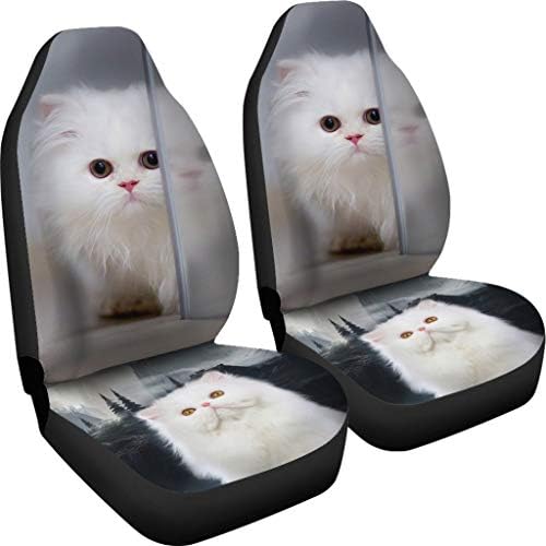 כיסויי מושב מכונית חתול פרסי לבן