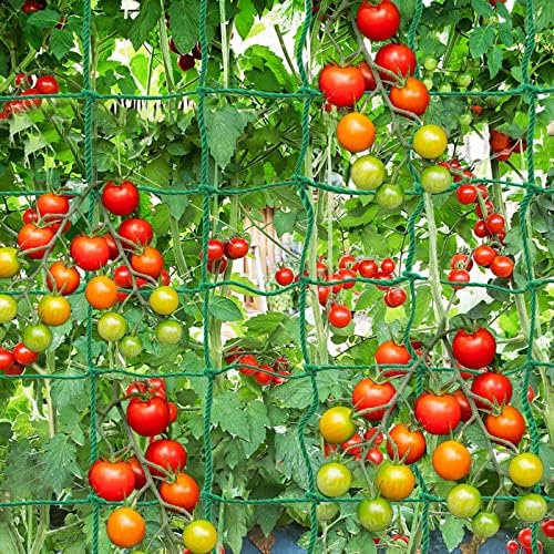 טרלי גן לצמחי טיפוס - מלפפון ירקות כבד מלפפונים לרשתות לצמחים מטפסים אפונה ירוקה טרליס לעגבנייה, צמחי גפן טרליס רשת