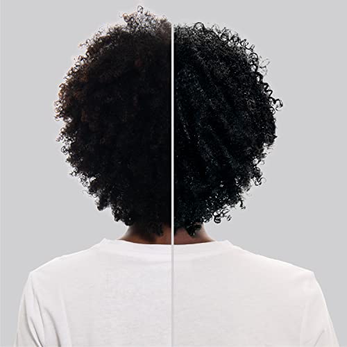 לוריאל פריז מעולה העדפה לדעוך-תיגר + ברק קבוע שיער צבע , 1.0 אולטימטיבי שחור, חבילה של 1, שיער לצבוע