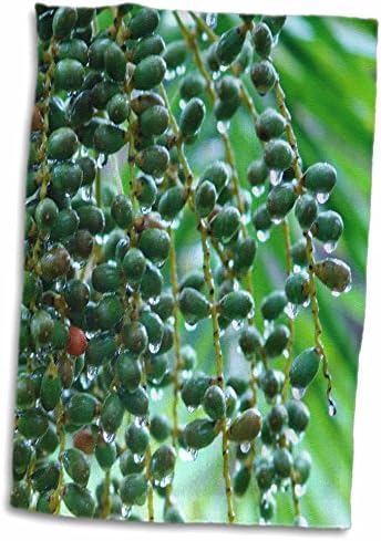 3 דרוז פלורן צמח מאקרו - פירות יער גשם - מגבות